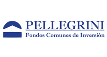 Pellegrini S.A.S.G.F.C.I.